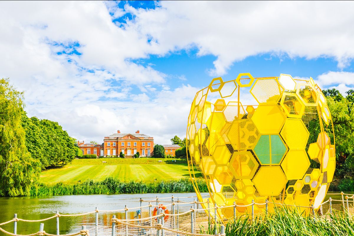 Meat-free festival opens audience debate on introducing Wild Venison