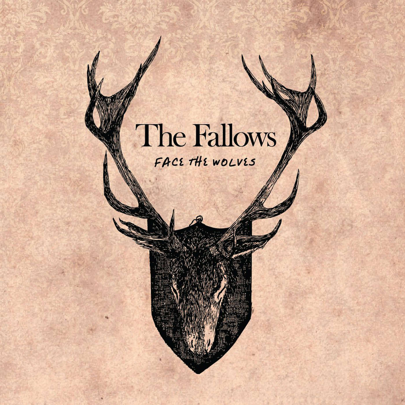 The Fallows To Release Debut Album
