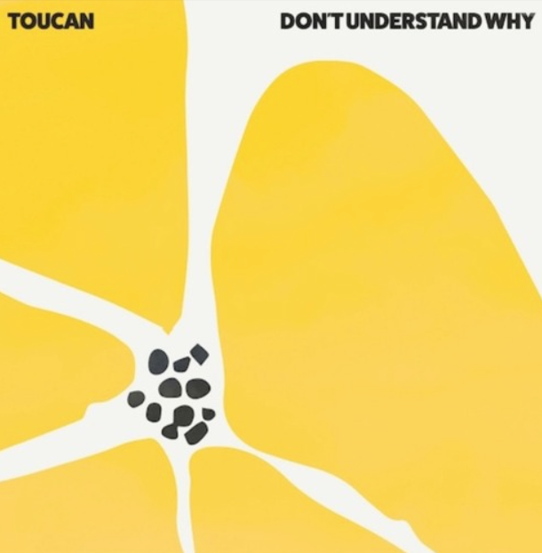 Toucan – Don’t Understand Why EP