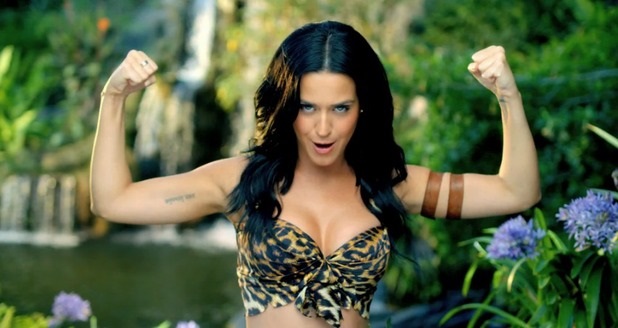Katy Perry Gets Eye Of The Tiger In Roar Video