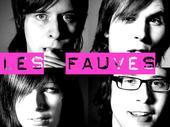 Les Fauves - N.A.L.T.1 A Fast Introduction