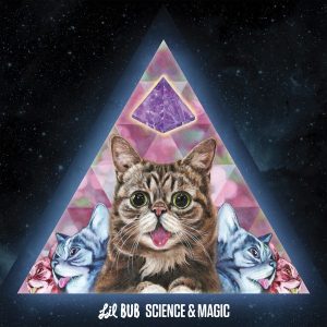 Andrew WK's Favourite Cat Lil Bub To Release Album
