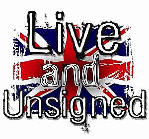Live and Unsigned Supports The Best Independent Festivals in 2012!