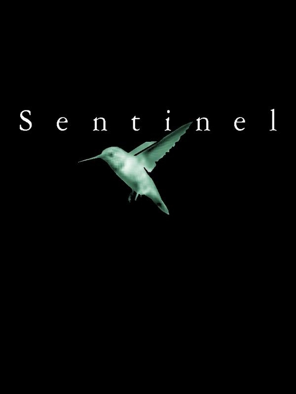 Sentinel - Sequels and Hunches