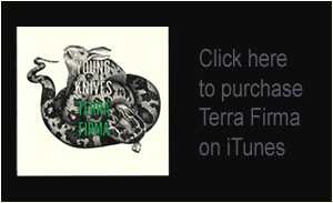 The Young Knives - Terra Firma