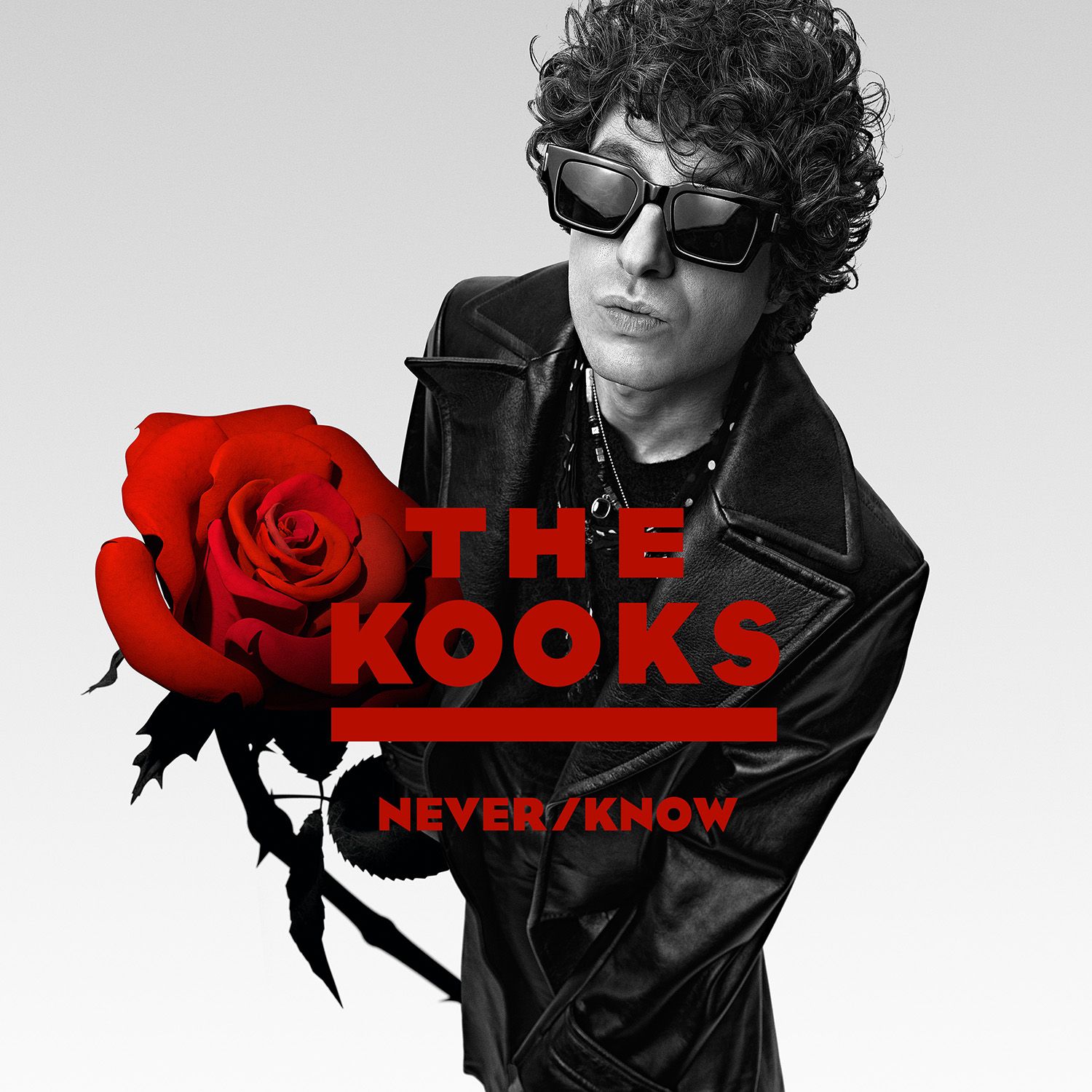 THE KOOKS ANNOUNCE FIRST UK SHOWS OF THE YEAR